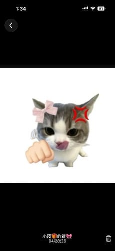 Box小箱