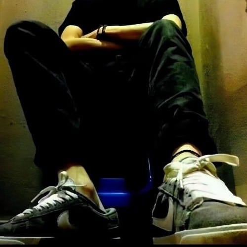 秦君临1S